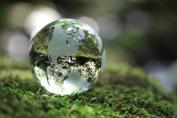 Globe in het forest — Stockfoto