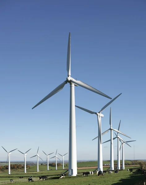 Ветряные турбины в ветряной электростанции — стоковое фото