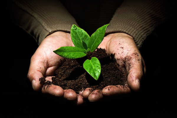 Taking care of new development