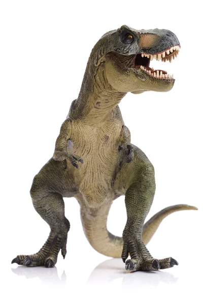 dinozor Tyrannosaurus rex