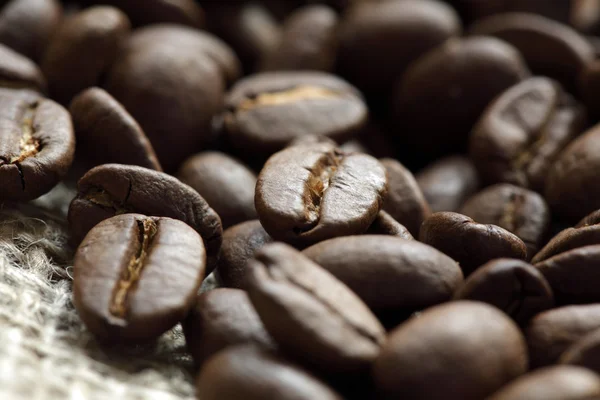 Coffee beans — Stock Photo, Image