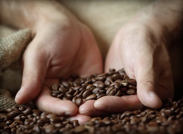 コーヒー豆の持ち手 — ストック写真