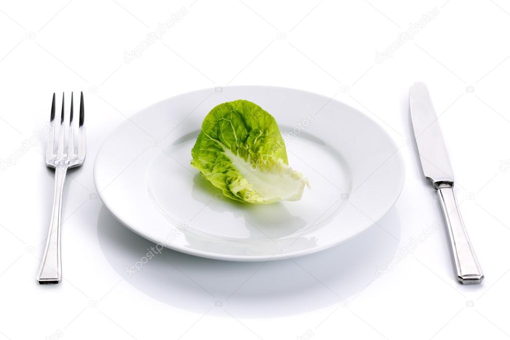 salad white plate Stock Photo by ©BrianAJackson 24534573