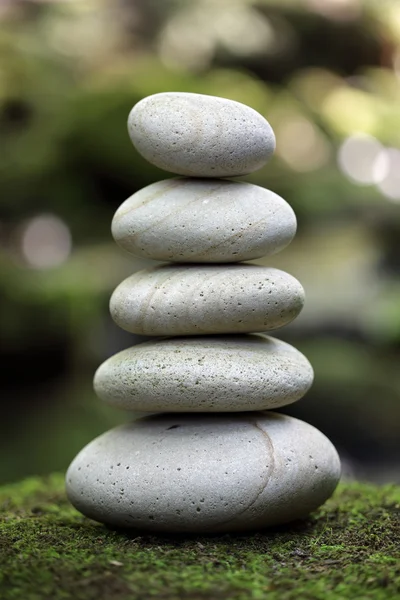 denge ve uyum içinde doğa