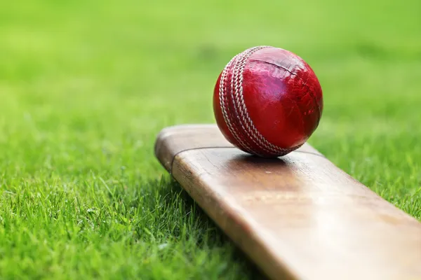 Cricketschläger und Ball — Stockfoto