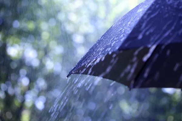 Regen auf Regenschirm Stockbild