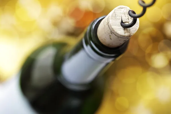 Cork schroef en wijn fles — Stockfoto