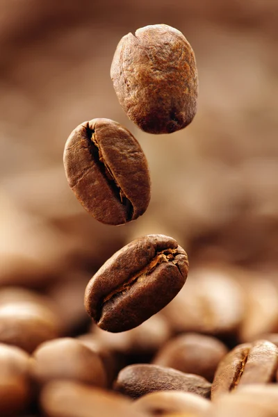 Coffee beans — Stock Photo, Image