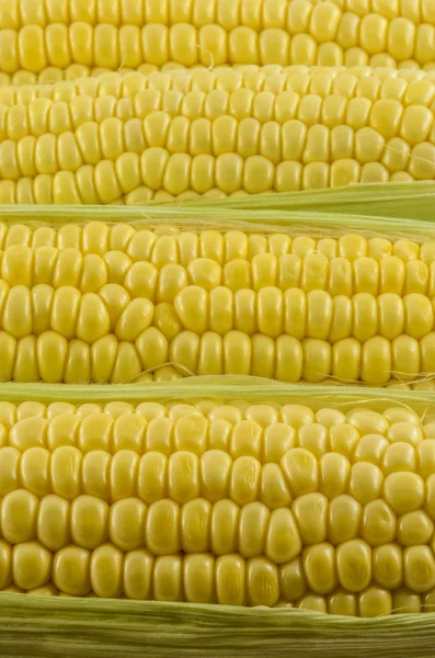 Maïs dicht omhoog 02 — Stockfoto