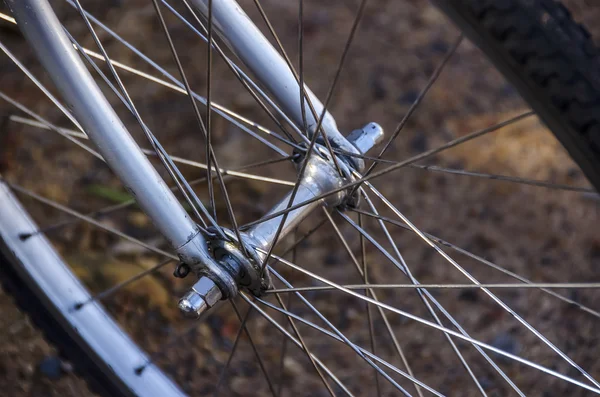 Fahrradspeichen. — Stockfoto