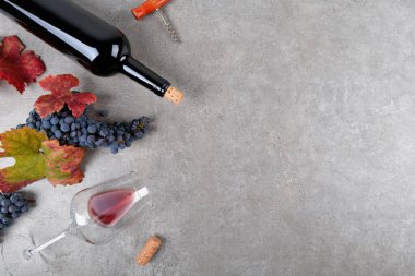 Kırmızı şarap şişesi bir demet Primitivo üzümü, yeşil ve kırmızı sonbahar üzüm yaprakları, gri taş masanın üzerinde bir bardak şarap ve tirbuşon, konsept şarap düz arka planda, kopyalama alanı