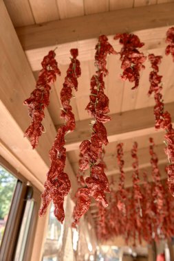 Tavandan kurumuş kırmızı biber demetleri sarkıyor. Peperoni cruschi, Güney İtalya 'da Basilicata mutfağında baharat olarak kullanılan hava kurutulmuş çıtır biberdir.