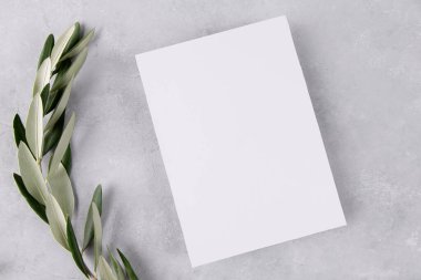 Two blank wedding invitation stationery card mockup on grey stone table background with olive branches, feminine Mediterranean flat lay, top view. Minimalist mockup 5x7 ratio, similar to A6, A5