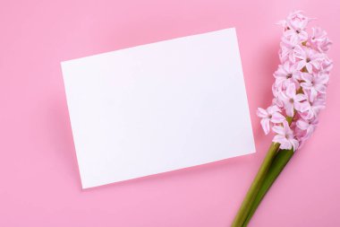 Boş düğün davetiyesi kâğıdı, pembe arka planda sümbül çiçekleri, kadınsı blog düzlüğü, üst manzara. Minimalist modelleme 5x7 oranı, A6, A5 'e benzer.