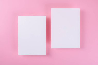 Two Blank wedding invitation stationery card mockup on pink background, feminine blog, 5x7