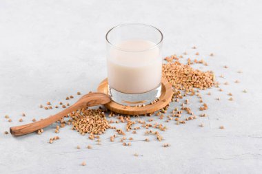 Vejetaryen günlük olmayan karabuğday sütü ve beyaz bir masada karabuğday filizleri. Sebzeler sağlıklı süt ürünleri, kapatın.