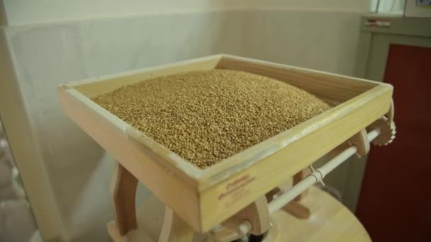 Mulino in legno sta macinando grano integrale su un piccolo produttore di mulini in Puglia — Video Stock