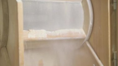 Tahta fabrikası Puglia, İtalya 'daki küçük bir fabrikada tahıl buğdayını öğütüyor.