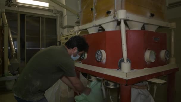 ミラーは 機械工業用ミルの操作をチェックし 小麦粉の袋を調整し 新鮮な地粉が袋に注いでいます プーリア州 イタリア — ストック動画