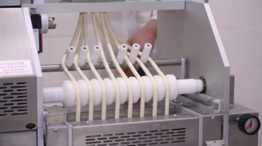 4k İtalyan makarna ocrecchiette Puglia bölgesinde küçük makarna fabrikasında, tipik Apulian mutfağı. Taze İtalyan makarnası üretimi için montaj hattı, gıda endüstrisi İtalya