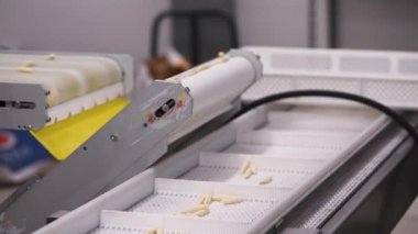 4k Production of Italian pasta ocrecchiette by Puglia region in little pasta factory, typical Apulian cuisine. Assembly line in the production of fresh Italian pasta, food industry Italy