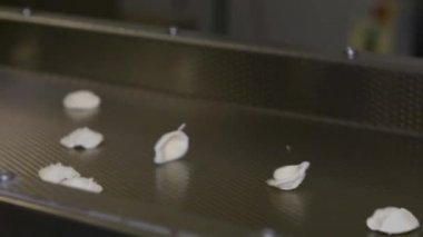 Küçük makarna fabrikasında Puglia Bölgesi tarafından üretilen İtalyan makarna ocrecchiette, tipik Apulian mutfağı. Taze İtalyan makarnası üretimi için montaj hattı, gıda endüstrisi İtalya, yavaş çekim