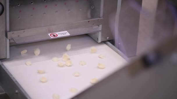 글리아 지역에서는 전형적 아풀리아 요리인 파스타 공장에서 이탈리아 파스타 오클리 — 비디오