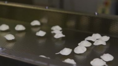Küçük makarna fabrikasında Puglia Bölgesi tarafından üretilen İtalyan makarna ocrecchiette, tipik Apulian mutfağı. Taze İtalyan makarnası üretimi için montaj hattı, gıda endüstrisi İtalya, yavaş çekim