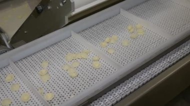 Küçük makarna fabrikasında Puglia Bölgesi tarafından üretilen İtalyan makarna ocrecchiette, tipik Apulian mutfağı. Taze İtalyan makarnası üretimi için montaj hattı, gıda endüstrisi İtalya, yavaş çekim