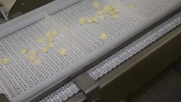 글리아 지역에서 생산되는 이탈리아 파스타 오클리 체트는 파스타 공장으로 전형적 — 비디오
