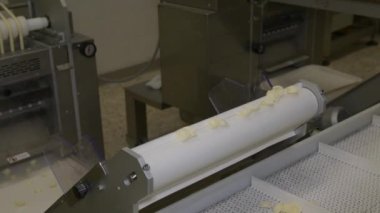 Küçük makarna fabrikasında Puglia Bölgesi tarafından üretilen İtalyan makarna ocrecchiette, tipik Apulian mutfağı. Taze İtalyan makarnası üretimi için montaj hattı, gıda endüstrisi İtalya, yavaş çekim