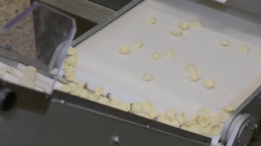 Küçük makarna fabrikasında Puglia Bölgesi tarafından üretilen İtalyan makarna ocrecchiette, tipik Apulian mutfağı. Taze İtalyan makarnası üretimi için montaj hattı, gıda endüstrisi İtalya, yavaş çekim