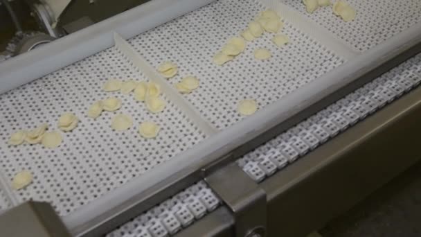 Producción Ocrecchiette Pasta Italiana Por Región Puglia Una Pequeña Fábrica — Vídeo de stock