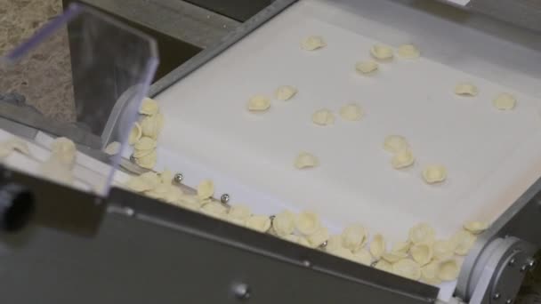 Παραγωγή Ιταλικών Ζυμαρικών Ocrecchiette Από Την Περιοχή Puglia Μικρό Εργοστάσιο — Αρχείο Βίντεο