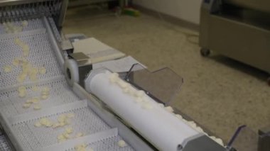 4k İtalyan makarna ocrecchiette Puglia bölgesinde küçük makarna fabrikasında, tipik Apulian mutfağı. Taze İtalyan makarnası üretimi için montaj hattı, gıda endüstrisi İtalya
