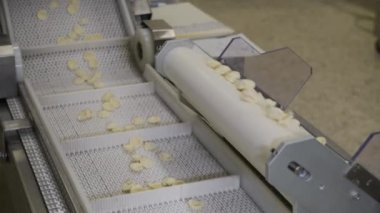 4k İtalyan makarna ocrecchiette Puglia bölgesinde küçük makarna fabrikasında, tipik Apulian mutfağı. Taze İtalyan makarnası üretimi için montaj hattı, gıda endüstrisi İtalya