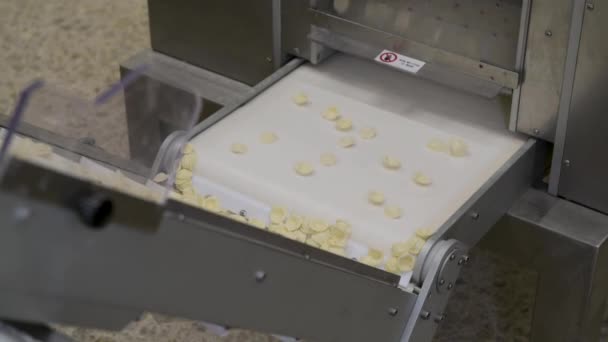 Producción Ocrecchiette Pasta Italiana Por Región Puglia Una Pequeña Fábrica — Vídeos de Stock