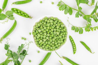 Beyaz arka planda bezelye kabukları ve bitkilerle bezelye kabuğundaki taze organik taze taze bezelyeler. Sağlıklı beslenme, vegan ve vejetaryen baklagil yiyeceği, çiğ yemek ve detoks süper yemek, fasulye proteini, üst görünüm