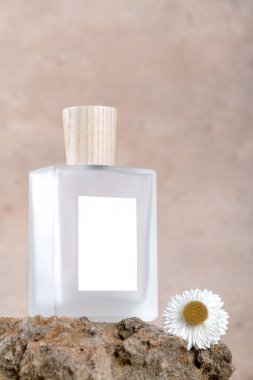 Transparent bottle of perfume with white labels on stone podium on beige terracotta background with dry flower. Fragrance presentation, Minimal cosmetic packaging mockup, copy space