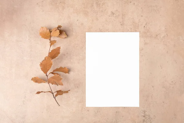 Autumn blank card mockup for thanksgiving day on natural beige background. Holidays preparation and creativity layout. Thanksgiving mockup greeting card, flat lay, 5x7 ratio, similar to A6, A5