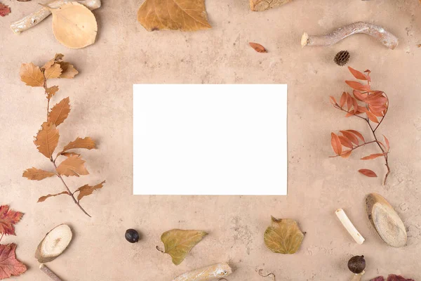 Autumn Blank Card Mockup Thanksgiving Day Natural Beige Background Holidays — Foto Stock