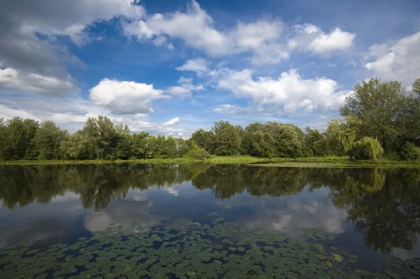 Hermoso lago — Foto de Stock