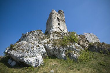 kalede mirow, Polonya