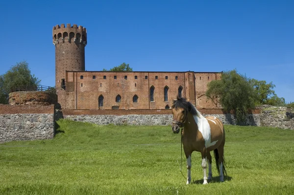 Schloss in Swiecie — Stockfoto