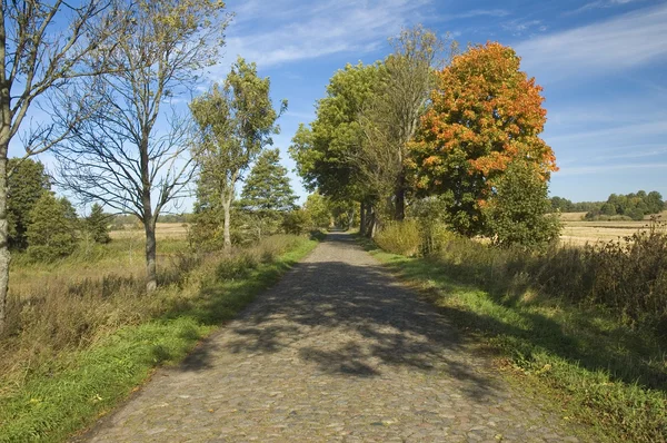 Old cobblestone road — Stock Photo, Image