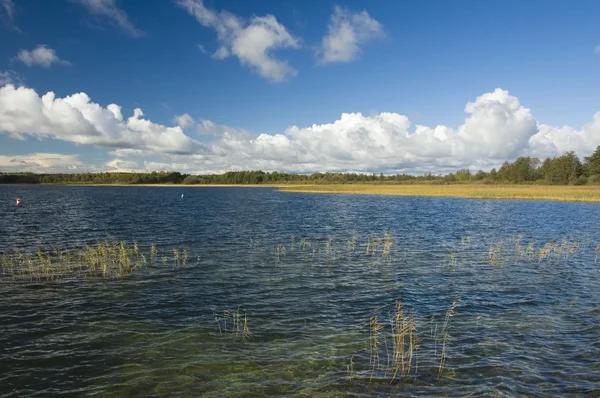 Lake view — Stock Photo, Image