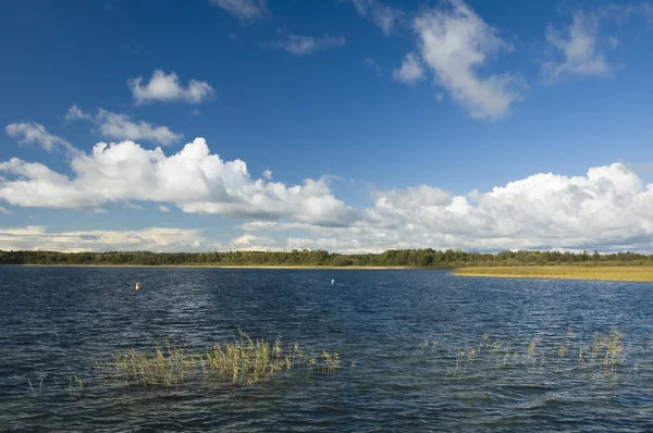 Vista lago — Fotografia de Stock