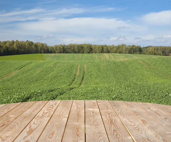kırsal alanda boş ahşap tablo