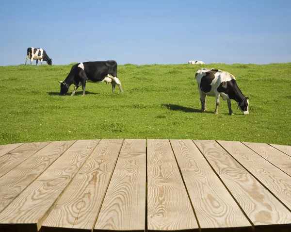 Empty wooden table on the farm — Stock Image Empty wooden table on the farm Stock Picture