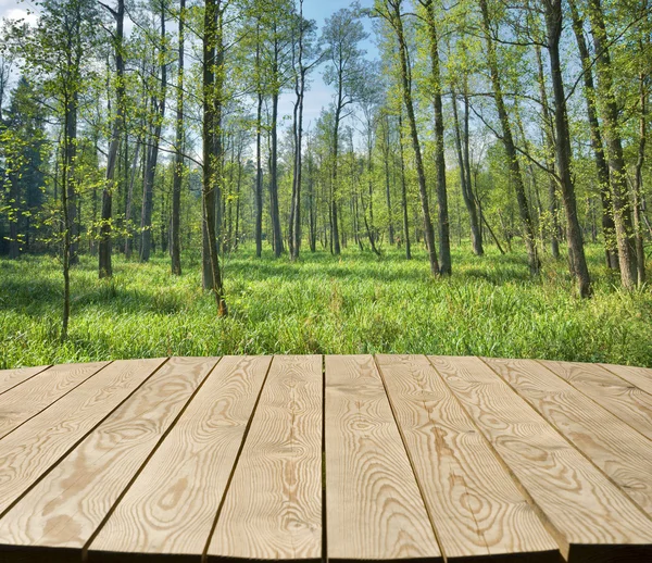 Mesa com floresta decídua — Fotografia de Stock